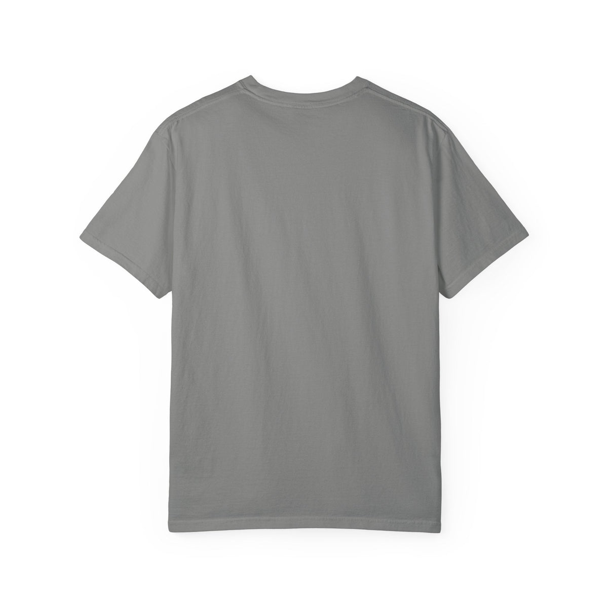 Bravery Was the Only Option Comfort Colors Shirt, Funny Frog Knight Fantasy Graphic Tee - Samantha Cade Collection